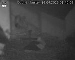 Capi_Dubne_20250419_014002.jpg