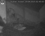 Capi_Dubne_20250419_024503.jpg