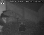 Capi_Dubne_20250419_043502.jpg