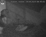 Capi_Dubne_20250419_044502.jpg