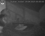 Capi_Dubne_20250419_050503.jpg