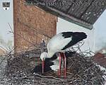 Capi_Dubne_20250419_091004.jpg