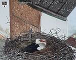 Capi_Dubne_20250419_091502.jpg