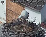 Capi_Dubne_20250419_115004.jpg