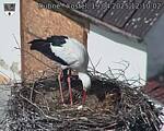 Capi_Dubne_20250419_121002.jpg