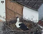 Capi_Dubne_20250419_121503.jpg