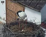 Capi_Dubne_20250419_130003.jpg