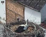 Capi_Dubne_20250419_143504.jpg