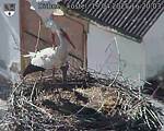 Capi_Dubne_20250419_162003.jpg