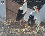 Capi_Dubne_20250419_185502.jpg