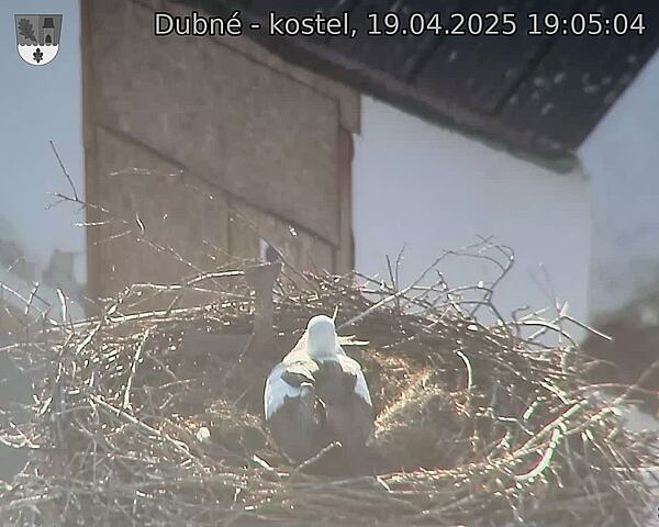 Capi_Dubne_20250419_190504.jpg (1350 x 1080)