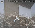 Capi_Dubne_20250419_191503.jpg
