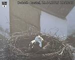 Capi_Dubne_20250419_192503.jpg
