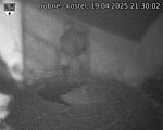 Capi_Dubne_20250419_213002.jpg