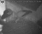 Capi_Dubne_20250419_213503.jpg
