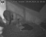 Capi_Dubne_20250419_223503.jpg