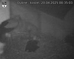 Capi_Dubne_20250420_003503.jpg