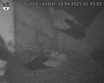 Capi_Dubne_20250420_014502.jpg