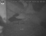 Capi_Dubne_20250420_015003.jpg