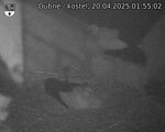 Capi_Dubne_20250420_015502.jpg