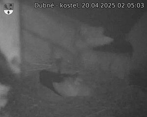 Capi_Dubne_20250420_020503.jpg (1350 x 1080)