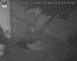 Capi_Dubne_20250420_034502.jpg