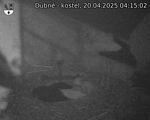 Capi_Dubne_20250420_041502.jpg
