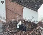 Capi_Dubne_20250420_055002.jpg