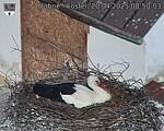 Capi_Dubne_20250420_085003.jpg