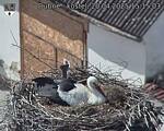 Capi_Dubne_20250420_151503.jpg