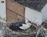 Capi_Dubne_20250420_170002.jpg