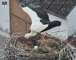 Capi_Dubne_20250420_180502.jpg