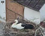 Capi_Dubne_20250420_181503.jpg
