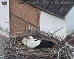 Capi_Dubne_20250420_190003.jpg