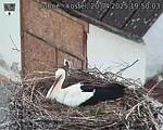 Capi_Dubne_20250420_195003.jpg