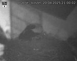 Capi_Dubne_20250420_210002.jpg