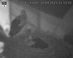 Capi_Dubne_20250420_211502.jpg