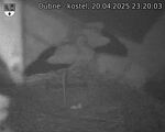 Capi_Dubne_20250420_232003.jpg