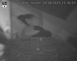Capi_Dubne_20250420_233003.jpg