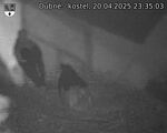 Capi_Dubne_20250420_233503.jpg