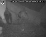 Capi_Dubne_20250421_000003.jpg