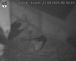 Capi_Dubne_20250421_005003.jpg