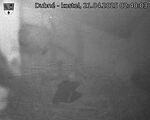 Capi_Dubne_20250421_024003.jpg
