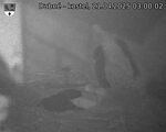 Capi_Dubne_20250421_030002.jpg