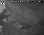 Capi_Dubne_20250421_035002.jpg