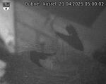 Capi_Dubne_20250421_050002.jpg
