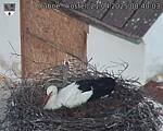 Capi_Dubne_20250421_084003.jpg