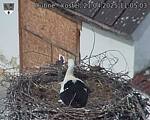 Capi_Dubne_20250421_110503.jpg