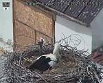 Capi_Dubne_20250421_133502.jpg