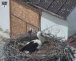 Capi_Dubne_20250421_134003.jpg